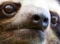 come here baby girl.jpg