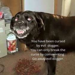 FB_IMG_1467333201300.jpg