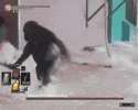 Dancer of the harambe valley.gif
