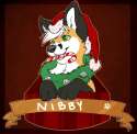 Ari-Raccoon-Santa-Paws-Nibby-small.png