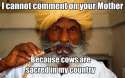 cows are sacred.jpg