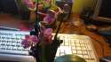 20160519_115611.jpg
