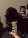 chemelionBubbles.gif