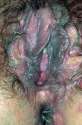 Hideous_vagina.jpg