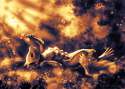 sunset_squirrel_7_by_kp_shadowsquirrel.jpg