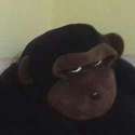 image.jpg
