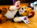 pawsitivity.png