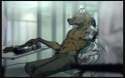 1461905983.lethaldoors_img_20160428_0001_copy_websize.png