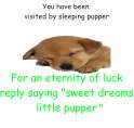Untitled.png
