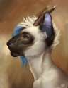 1460145133.shark-dragon_cat_copy.png