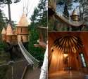 tree_house (4).jpg