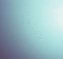 cb25.jpg