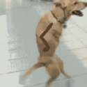 1458049594318.gif