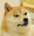 Angry Doge.jpg