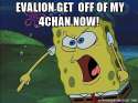 mad spongebob evalion.jpg