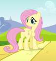 1191639__safe_fluttershy_screencap_plot_cropped_hurricane+fluttershy.jpg