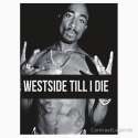 tupac.jpg