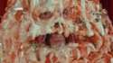giphy-facebook_s.gif