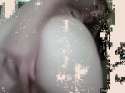 webcam.gif