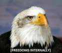 Can+t+hear+you+over+my+freedom+_520ad03a3a8731f507080ff741f94548.jpg
