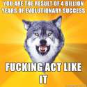 Evolution58.jpg