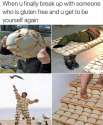 398079.jpg
