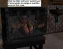 1417038210453.jpg