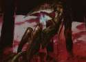 Homing-Sliver.jpg