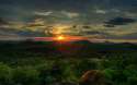 Great Jungle And Sky.jpg