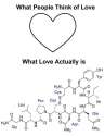 chemical feels.jpg