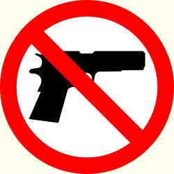 gunbanNYC.png