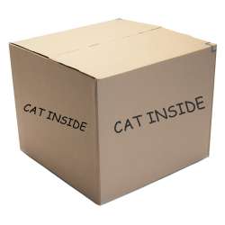 Large-BOx.jpg