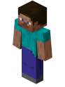 Steve_Minecraft_pic.png
