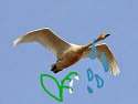IMG-20150419-WA0016.jpg