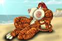 1329426504.ims360_tyger.jpg
