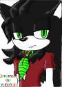 jonathan_the_hedgehog_by_irgi1997-d4nfi1h.jpg