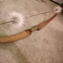 bow.jpg