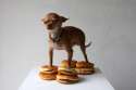 big burger dog.jpg