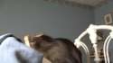 1402518214677.gif
