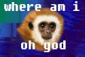 1467663370267.gif