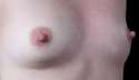 wf5.jpg