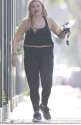 lardocaloriesian.jpg