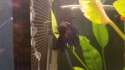 20160505_173827.jpg