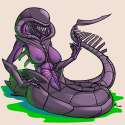 1317194 - Alien Xenomorph.png