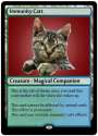 TheRealImmunityCatt.jpg