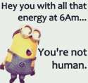 10fa95e7b8b6ec4f9eb02a52dc6aaf6c.jpg