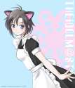 s - 983985 - _3 1girl animal_ears apron ariga_nao black_hair blue_eyes cat_ears idolmaster kikuchi_makoto maid short_hair smile solo.jpg