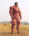 meat gundam suit.jpg
