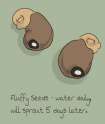 26533 - Artist-carpdime foals garden_fluffies garden_fluffy safe seed.jpg