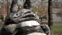 Totoro (32).jpg